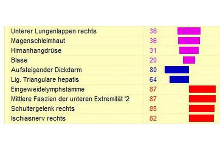 home 21 Gesundheitspraxis bewusstgsund Bioresonanz - Vitalfeldtherapie