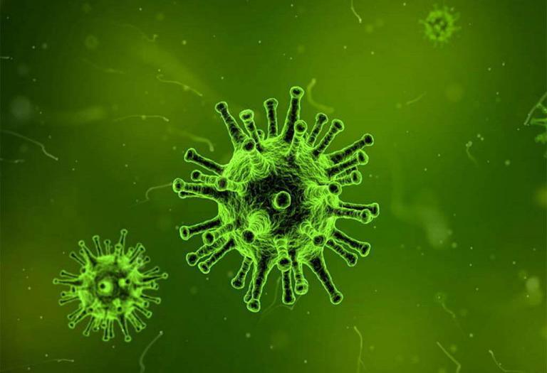 home 23 Gesundheitspraxis bewusstgsund Bioresonanz - Vitalfeldtherapie