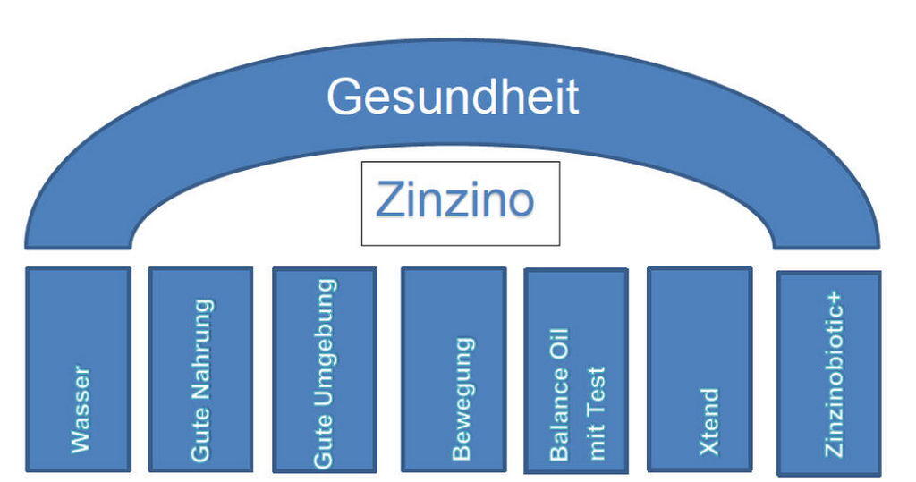 zinzino 4 Gesundheitspraxis bewusstgsund Zinzino