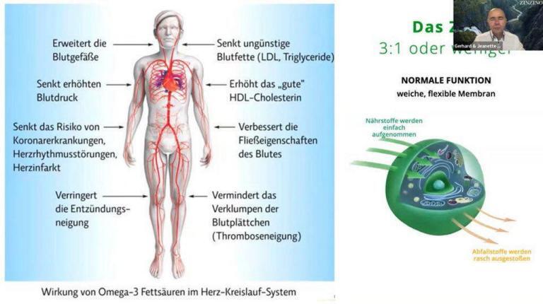 zinzino 5 Gesundheitspraxis bewusstgsund Zinzino