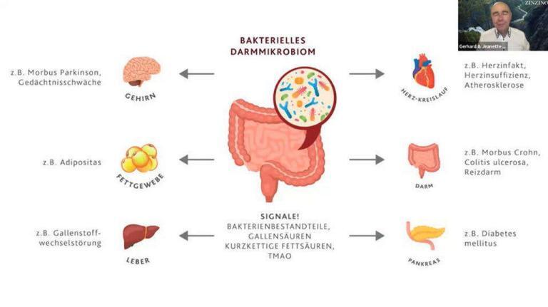 zinzino 8 Gesundheitspraxis bewusstgsund Zinzino