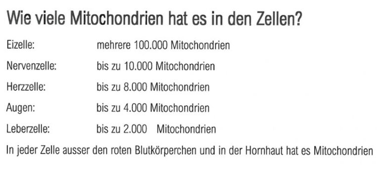 IHHT 7 Anzahl Mitochondrien / Zelle