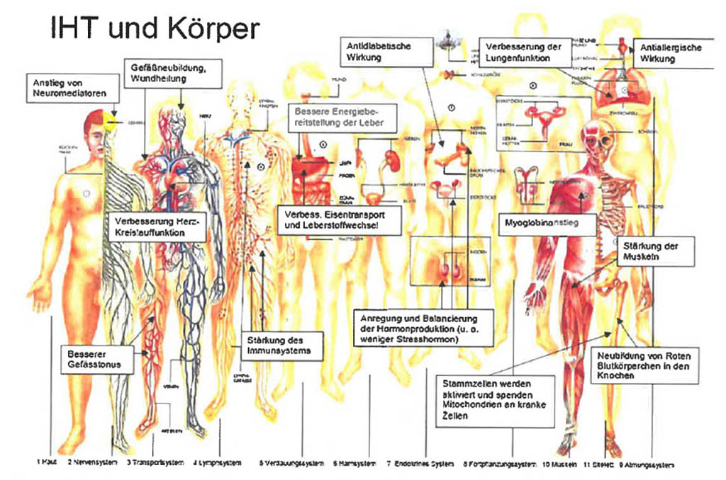 IHHT 9 IHHT und Körper