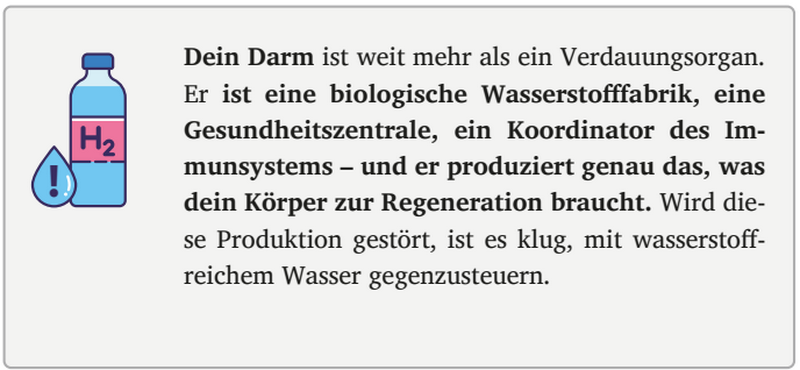 molekulärer Wasserstoff Vorteile